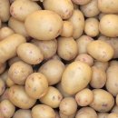 이종란농장 이미지