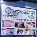 참치사랑 | [강원 고성] 참사랑해 참치숯불구이 1호점 방문 후기