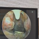 퍼스트이비인후과의원 이미지