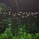 와글와글 생태놀이터 이미지