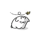 멕시칸라이브그릴