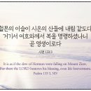 산들에 티스토리