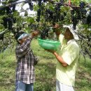 재일농원 이미지