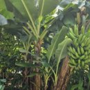 민준약국 이미지