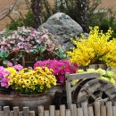 신지면사무소 이미지