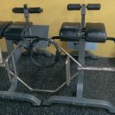 아이언렉스 이미지