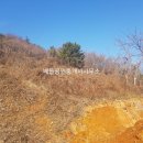 동강면사무소기타 이미지