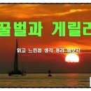 꿀벌과 게릴라 도서후기