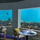 아일라리조트 이미지