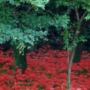 풍천식당 이미지