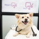 성남 시립동물병원 이미지
