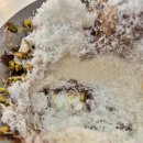 강남대로83길 18 | [Review] 신논현역 카페 : 빙수 휘낭시에 맛집 쿠운 두바이빙수 추천후기