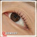 서면속눈썹 팅커벨브로우 | 서면 속눈썹펌 잘하는곳 바이블브로우 솔직후기