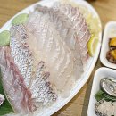 참다랑e | 가락시장 수산시장 주차 24시 횟집 영흥수산 민어회 포장