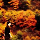 화수분민박 | 선물 같은 책 박완서 &lt;잃어버린 여행 가방&gt;