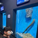 동진천길 | 충청북도 아쿠아리움 가족나들이