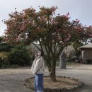 서귀동-35 | 제주도 서귀포 3박4일 여행 | 3일차 1탄 | 강풍주의보 받고 대설주의보