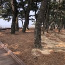 궁평펜션 이미지