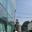 러닝독 스테이 이미지