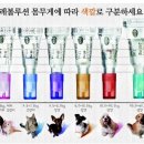 레볼루션애견 네이버블로그