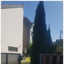 완산-134 이미지