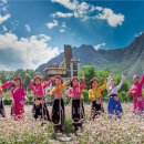 시골정취 이미지