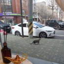 구월동로데오사주타로카페 지니타로카페 방문 후기
