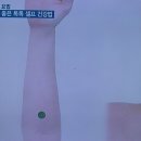 빨리셀프 이미지
