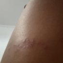 Brother Gym 이미지