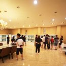 펫 갤러리아 이미지