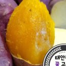 안면도농산 이미지