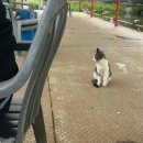 새미 낚시터 이미지