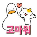 콩드립로스터스 이미지
