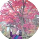 농경생활사박물관 이미지