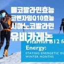 코바마 네이버블로그