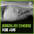 해오름 동물병원 이미지