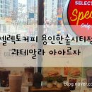 셀렉토커피용인