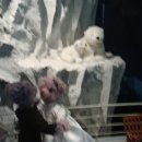 세계인형박물관 이미지