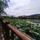 뉴오션리조트 이미지