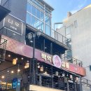 홍대/상수 요리주점 💛 백억살롱 추천💛 술집 맛집 솔직후기