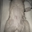 해피동물병원 이미지