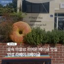 라베이크 이미지