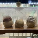 조공시장 | 괴안동분식 조공시장분식집 쪼식이 괴안동점심식사로 푸짐했던 후기