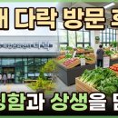 김해 장유 로컬푸드 다락 방문 후기 및 이용 정보 총정리