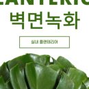 플라워가든경기