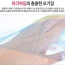 품절--야영모기장 이미지