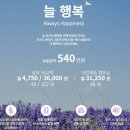 프리드라이프영남사업단
