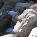 어울펜션 이미지