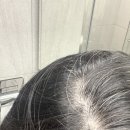 염색마트 | 군마트 씨드비 물염색 새치염색 내돈내산 후기