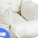 펫하우스 이미지